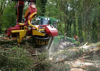 Out of the woods Mechanised Harvesting