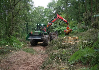 Mechanised Harvesting