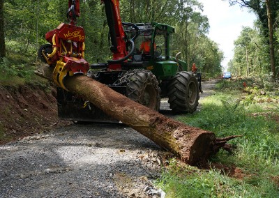 Timber skidding