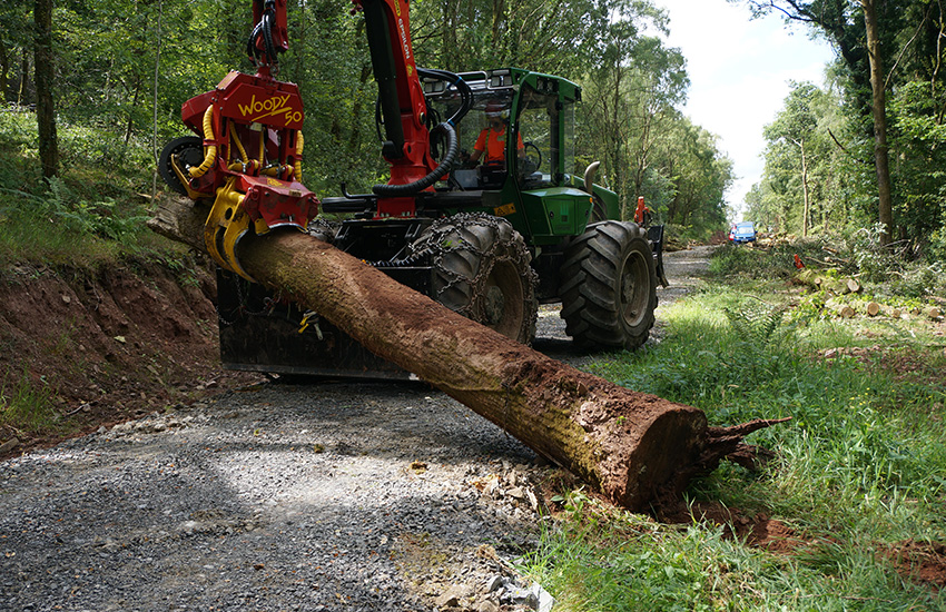 Timber Skidding