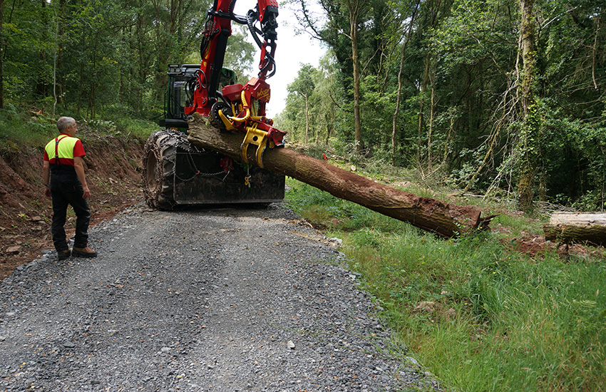 Timber Skidding