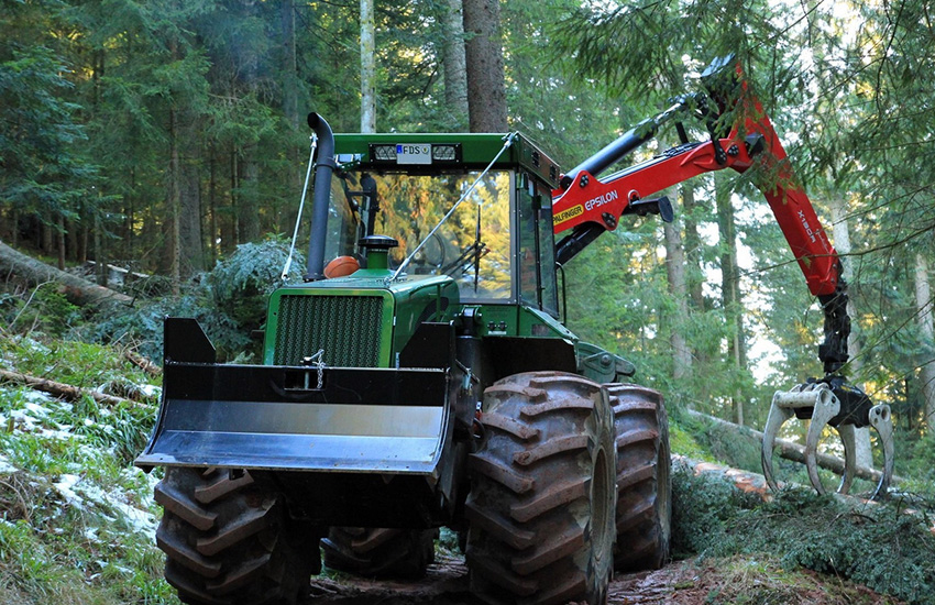 Out of the woods forestry services | Forestry Services UK