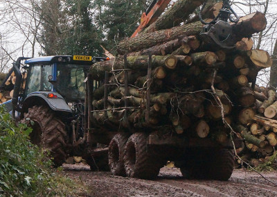 UK Forestry services
