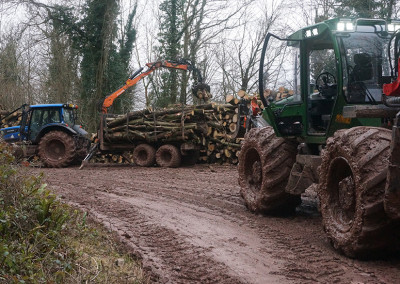 UK Forestry services