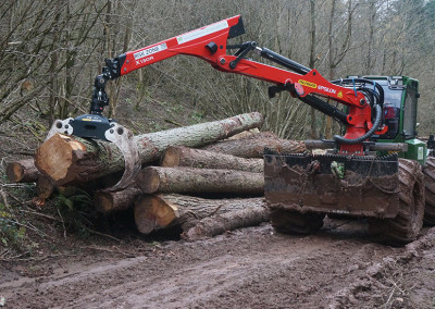 UK Forestry services