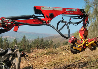 Forestry maintenance